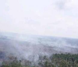 Ilustrasi ancaman Karhutla di Pulau Sumatera musim kemarau (foto/int)